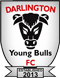 Darlington Young Bulls Logo