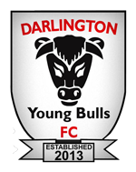 Darlington Young Bulls Logo